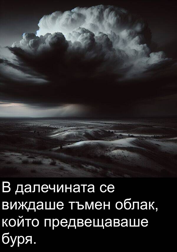 виждаше: В далечината се виждаше тъмен облак, който предвещаваше буря.