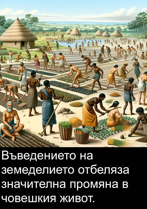 значителна: Въведението на земеделието отбеляза значителна промяна в човешкия живот.