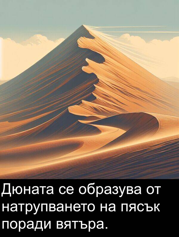 поради: Дюната се образува от натрупването на пясък поради вятъра.