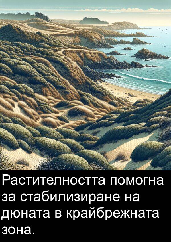 зона: Растителността помогна за стабилизиране на дюната в крайбрежната зона.