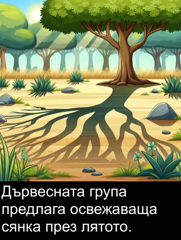 предлага: Дървесната група предлага освежаваща сянка през лятото.