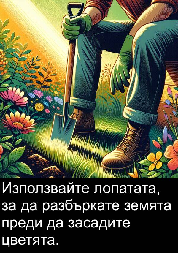 земята: Използвайте лопатата, за да разбъркате земята преди да засадите цветята.