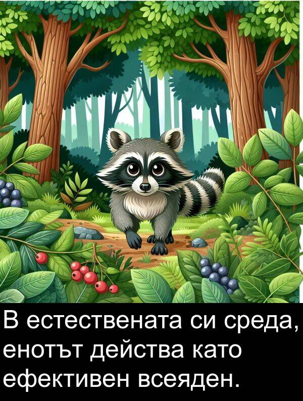 като: В естествената си среда, енотът действа като ефективен всеяден.