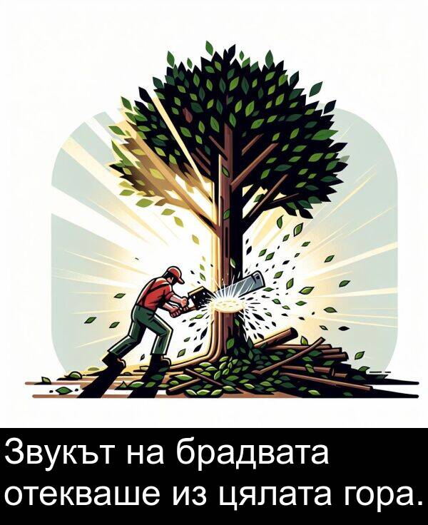 цялата: Звукът на брадвата отекваше из цялата гора.