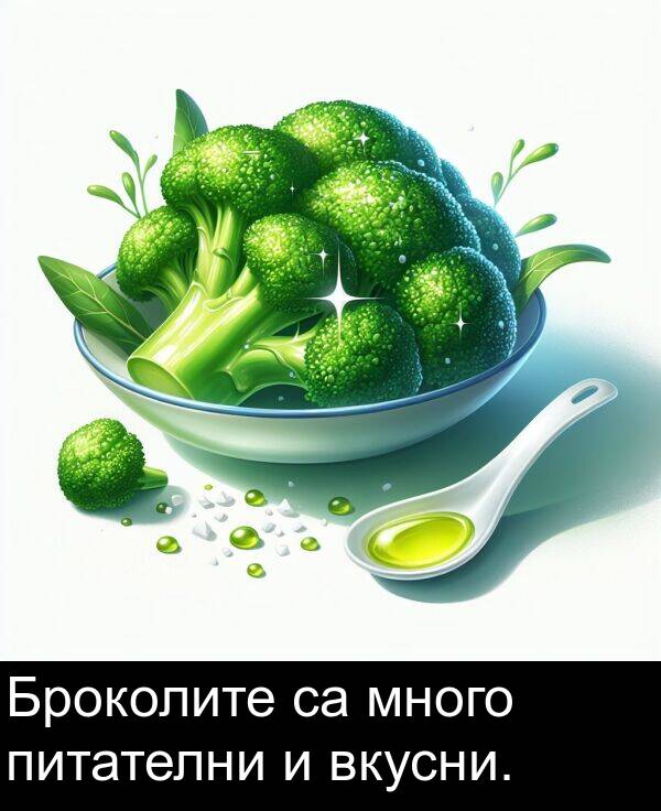 много: Броколите са много питателни и вкусни.