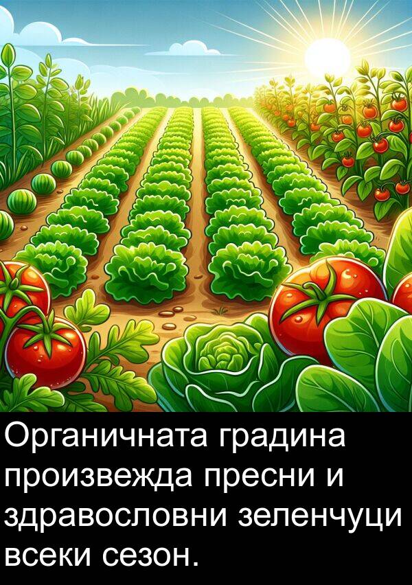 произвежда: Органичната градина произвежда пресни и здравословни зеленчуци всеки сезон.