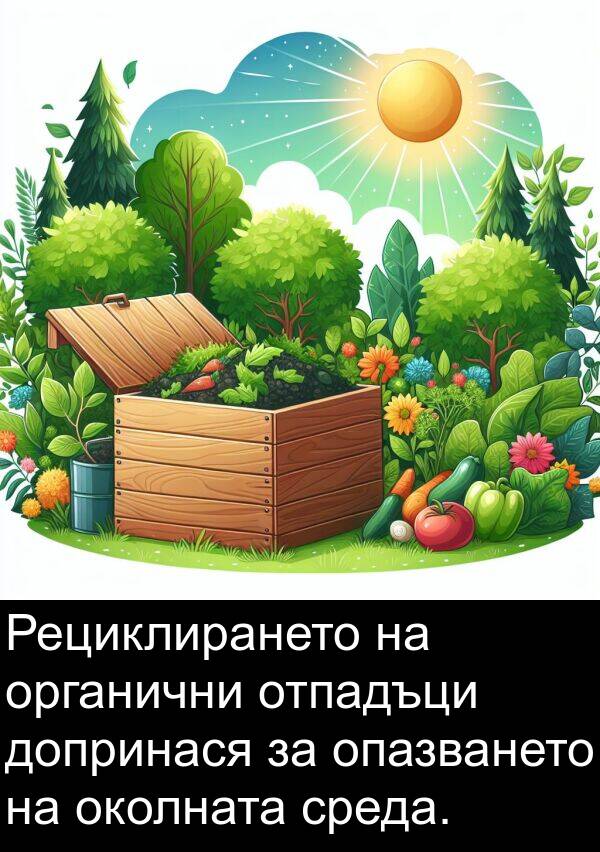 допринася: Рециклирането на органични отпадъци допринася за опазването на околната среда.