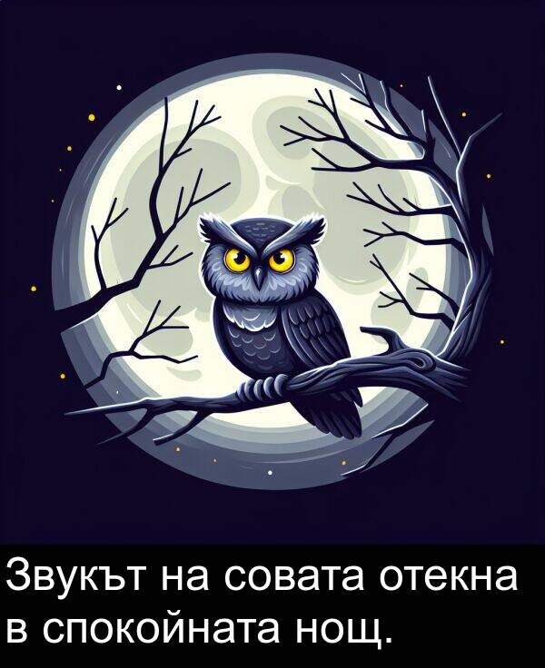 отекна: Звукът на совата отекна в спокойната нощ.