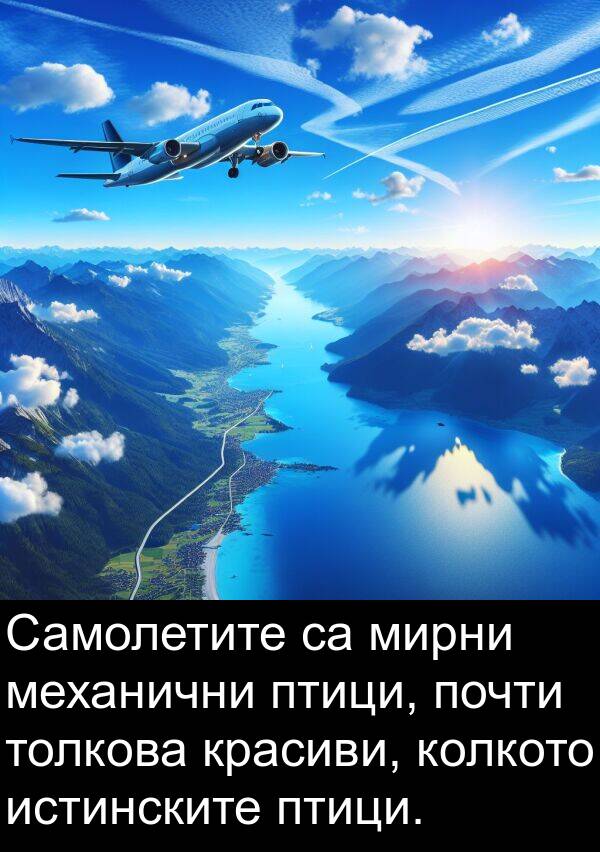 мирни: Самолетите са мирни механични птици, почти толкова красиви, колкото истинските птици.