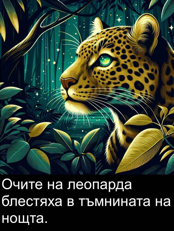 тъмнината: Очите на леопарда блестяха в тъмнината на нощта.