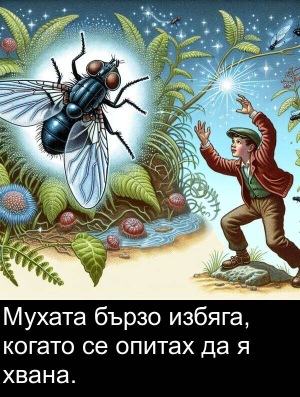 избяга: Мухата бързо избяга, когато се опитах да я хвана.