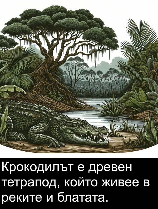 живее: Крокодилът е древен тетрапод, който живее в реките и блатата.