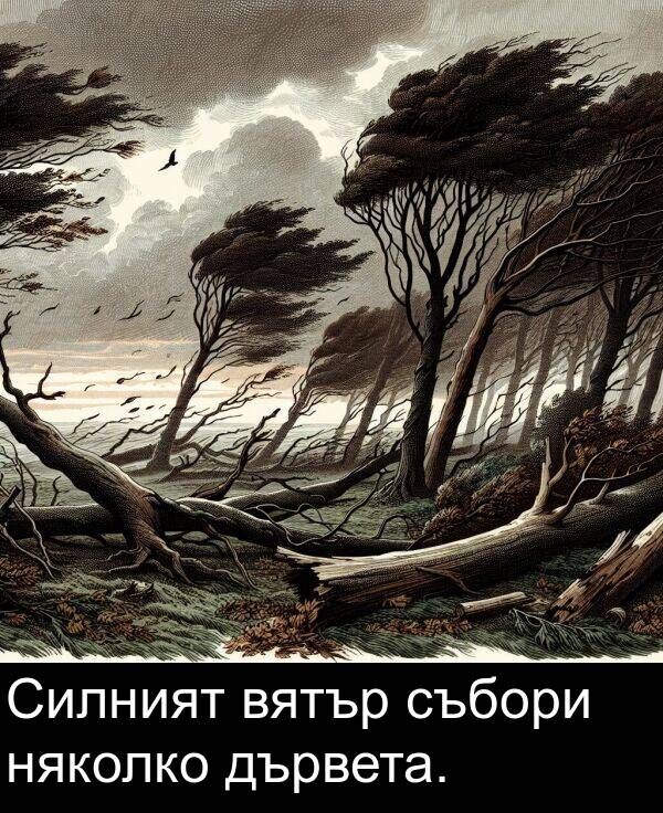 дървета: Силният вятър събори няколко дървета.