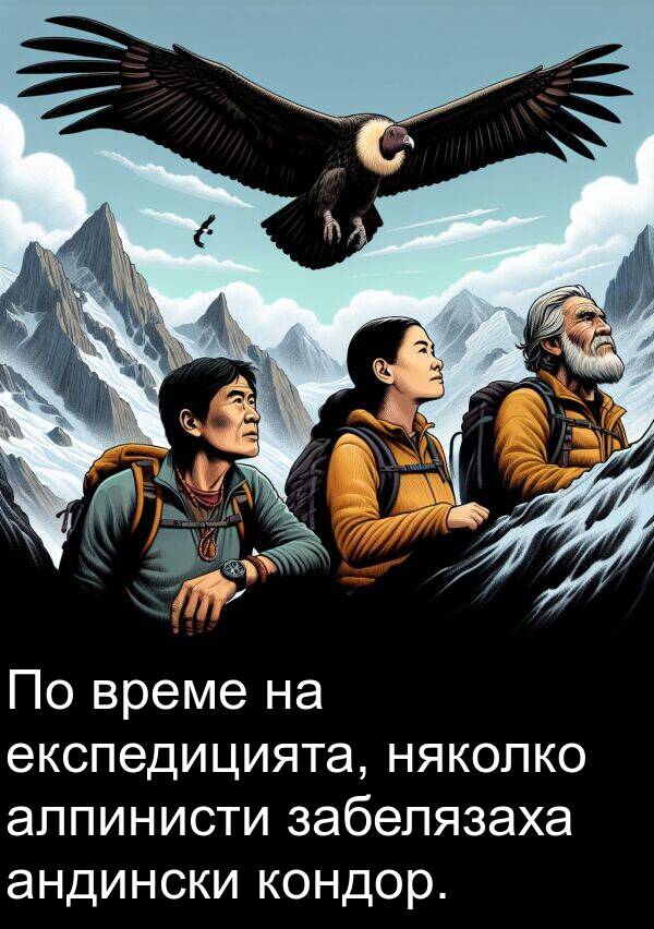 експедицията: По време на експедицията, няколко алпинисти забелязаха андински кондор.