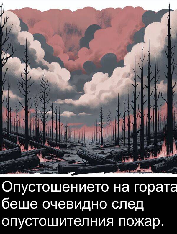 гората: Опустошението на гората беше очевидно след опустошителния пожар.