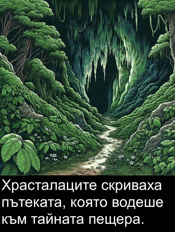 тайната: Храсталаците скриваха пътеката, която водеше към тайната пещера.