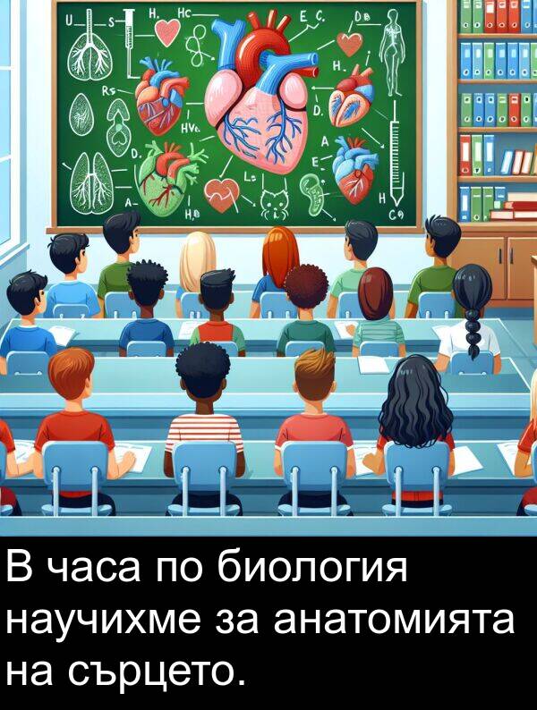 часа: В часа по биология научихме за анатомията на сърцето.