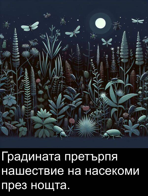 претърпя: Градината претърпя нашествие на насекоми през нощта.