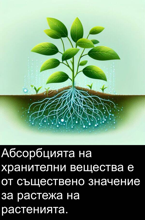 хранителни: Абсорбцията на хранителни вещества е от съществено значение за растежа на растенията.