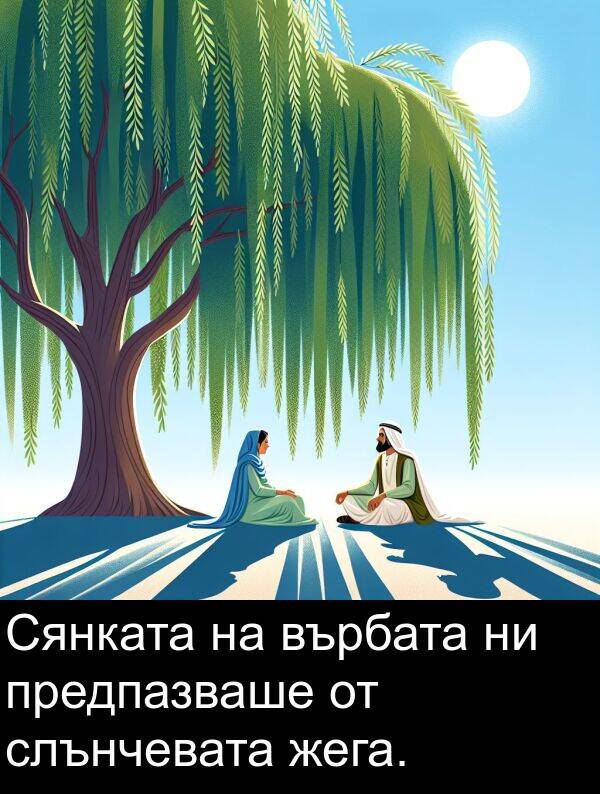 жега: Сянката на върбата ни предпазваше от слънчевата жега.