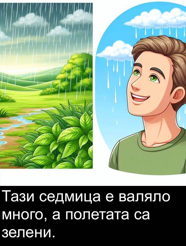 валяло: Тази седмица е валяло много, а полетата са зелени.