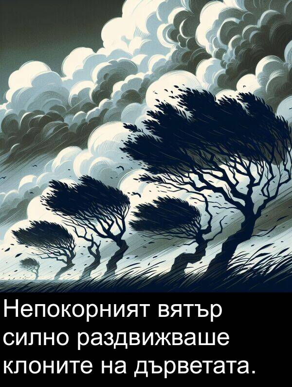 дърветата: Непокорният вятър силно раздвижваше клоните на дърветата.