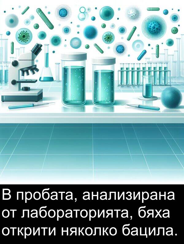 лабораторията: В пробата, анализирана от лабораторията, бяха открити няколко бацила.