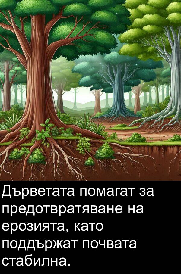 предотвратяване: Дърветата помагат за предотвратяване на ерозията, като поддържат почвата стабилна.