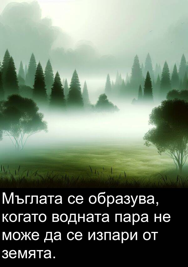 пара: Мъглата се образува, когато водната пара не може да се изпари от земята.