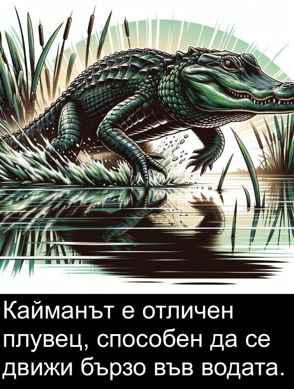 движи: Кайманът е отличен плувец, способен да се движи бързо във водата.