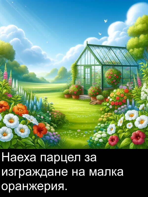 изграждане: Наеха парцел за изграждане на малка оранжерия.