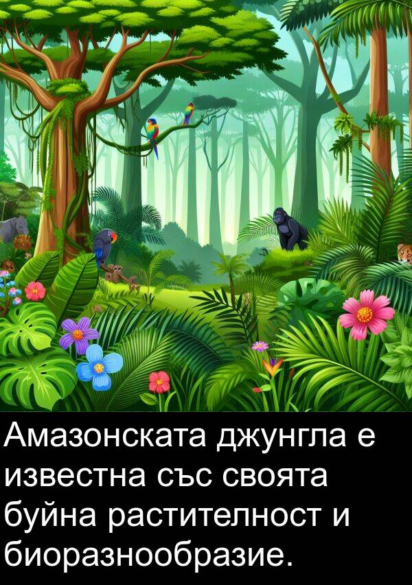 известна: Амазонската джунгла е известна със своята буйна растителност и биоразнообразие.