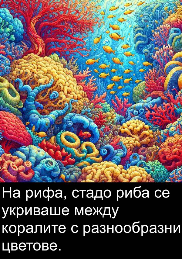 между: На рифа, стадо риба се укриваше между коралите с разнообразни цветове.