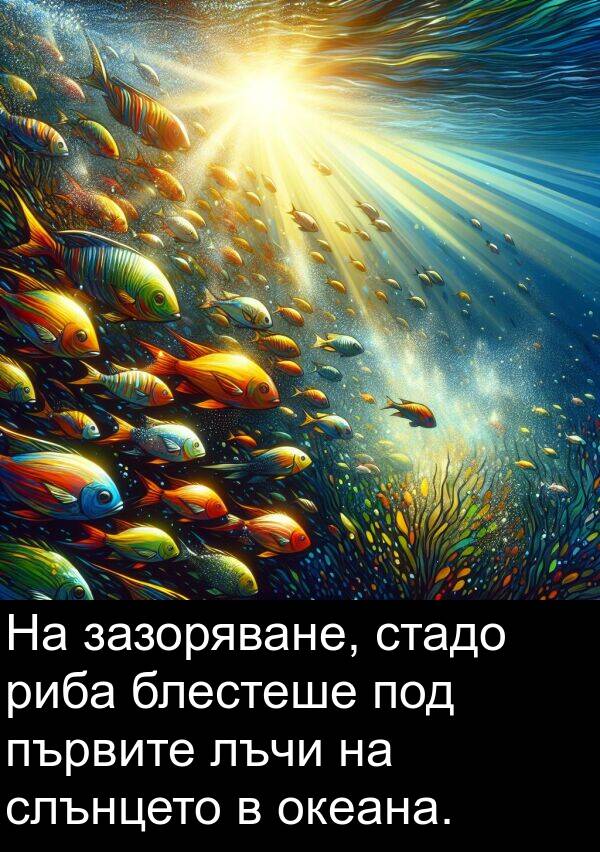 под: На зазоряване, стадо риба блестеше под първите лъчи на слънцето в океана.