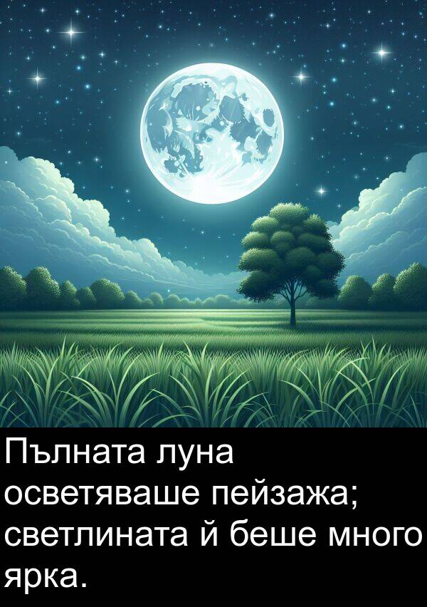 пейзажа: Пълната луна осветяваше пейзажа; светлината й беше много ярка.