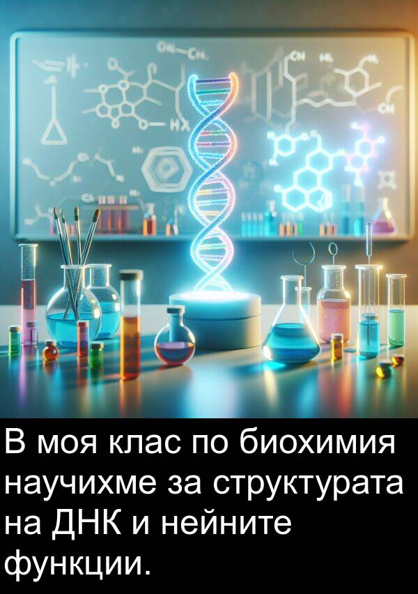 функции: В моя клас по биохимия научихме за структурата на ДНК и нейните функции.