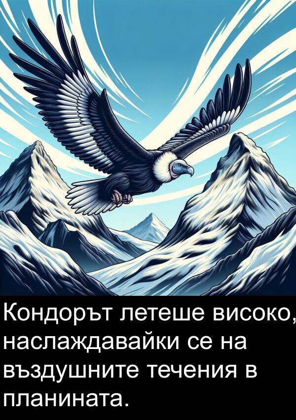 планината: Кондорът летеше високо, наслаждавайки се на въздушните течения в планината.