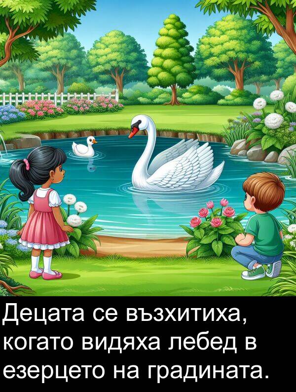 видяха: Децата се възхитиха, когато видяха лебед в езерцето на градината.