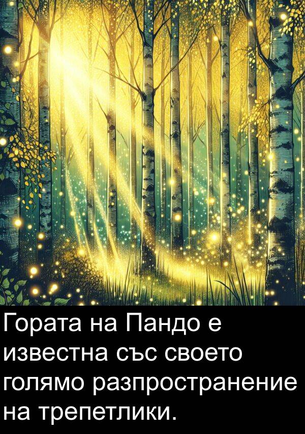 известна: Гората на Пандо е известна със своето голямо разпространение на трепетлики.