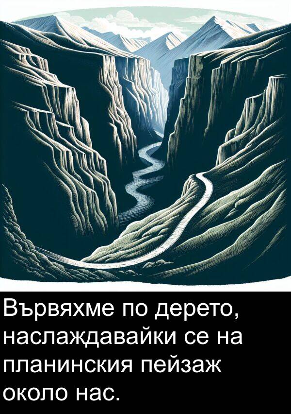 пейзаж: Вървяхме по дерето, наслаждавайки се на планинския пейзаж около нас.