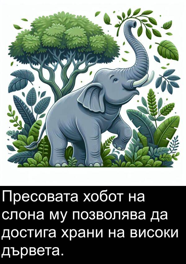 храни: Пресовата хобот на слона му позволява да достига храни на високи дървета.