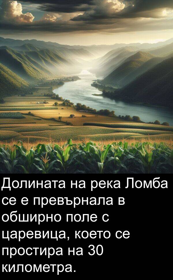 километра: Долината на река Ломба се е превърнала в обширно поле с царевица, което се простира на 30 километра.