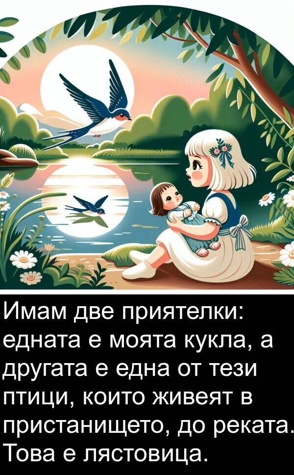 живеят: Имам две приятелки: едната е моята кукла, а другата е една от тези птици, които живеят в пристанището, до реката. Това е лястовица.