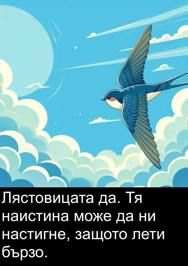 наистина: Лястовицата да. Тя наистина може да ни настигне, защото лети бързо.