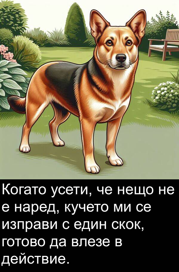 действие: Когато усети, че нещо не е наред, кучето ми се изправи с един скок, готово да влезе в действие.