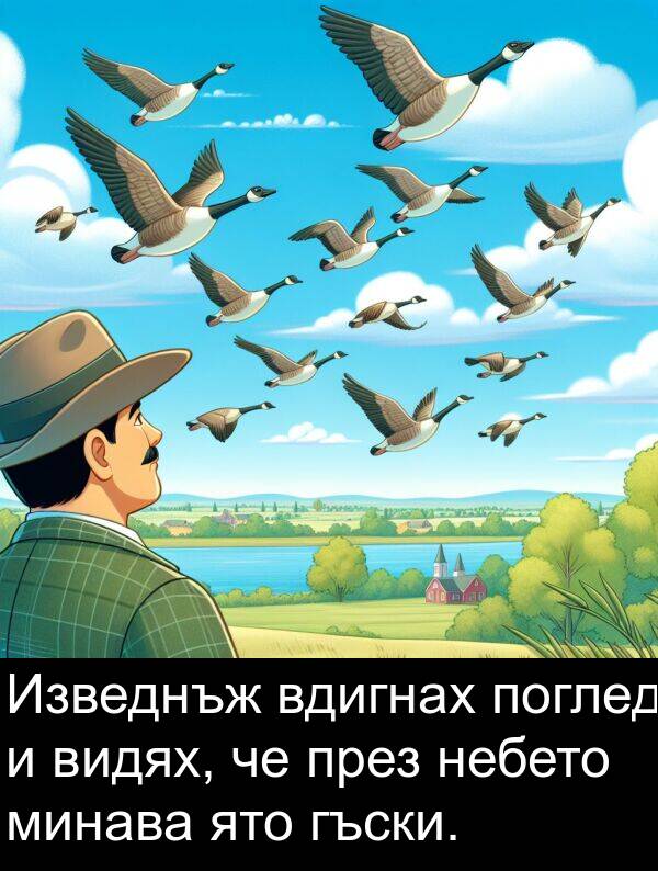 видях: Изведнъж вдигнах поглед и видях, че през небето минава ято гъски.