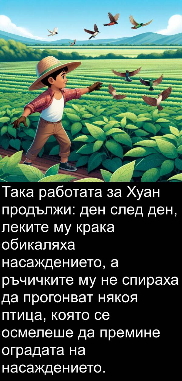 работата: Така работата за Хуан продължи: ден след ден, леките му крака обикаляха насаждението, а ръчичките му не спираха да прогонват някоя птица, която се осмелеше да премине оградата на насаждението.