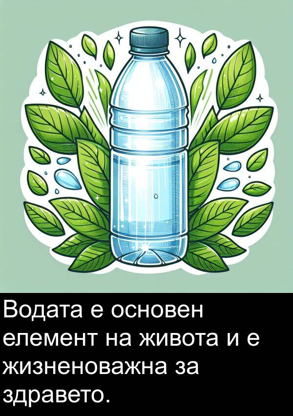 здравето: Водата е основен елемент на живота и е жизненоважна за здравето.