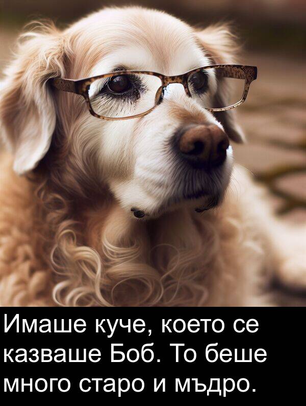 казваше: Имаше куче, което се казваше Боб. То беше много старо и мъдро.