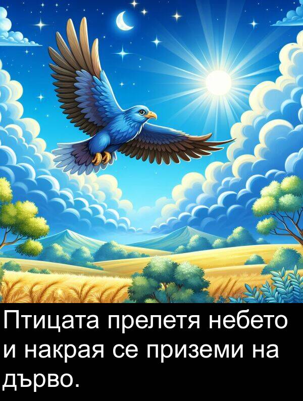 прелетя: Птицата прелетя небето и накрая се приземи на дърво.